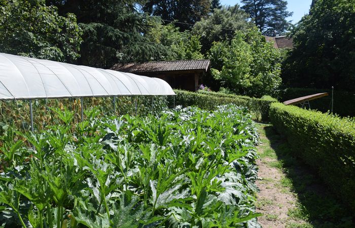 Gemüsegarten im Angelica Meran